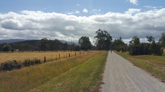 Lilydale to Warburton Rail Trail