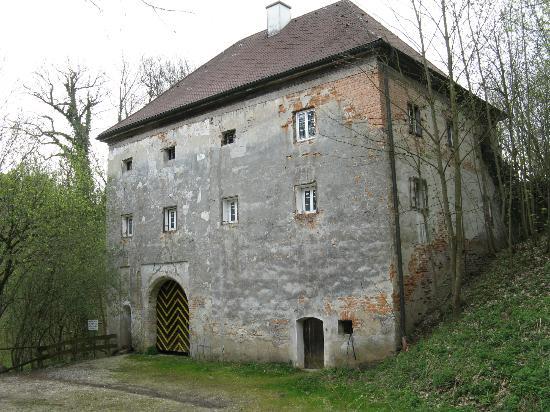 Burgruine Alt-Wartenburg