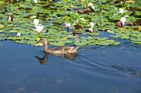 Osterreichischer Skulpturenpark