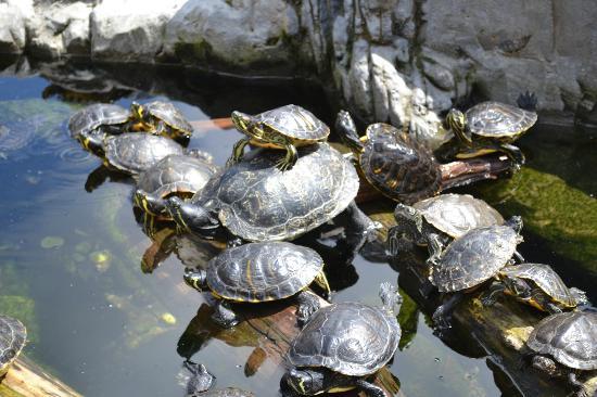 Aquarium Sea Life Blankenberge