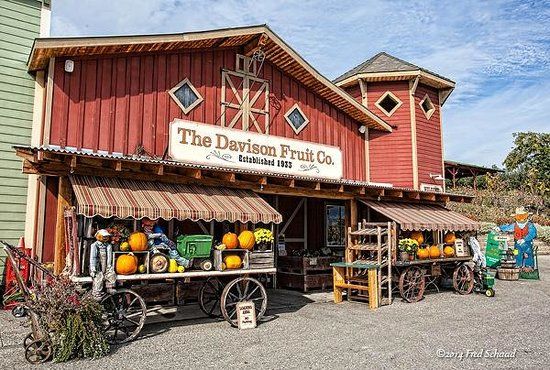 Davison Orchards Country Village