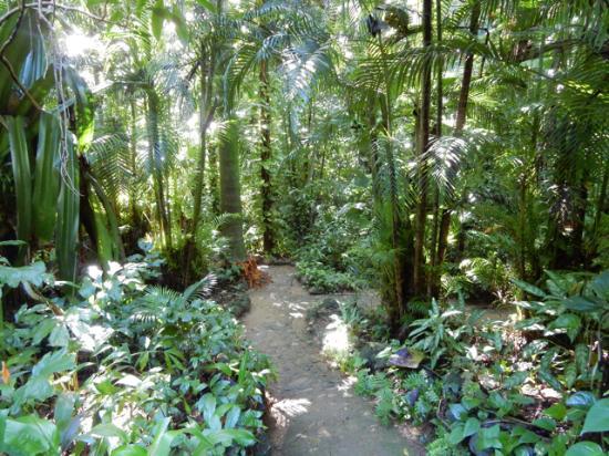 Carambola Botanical Gardens