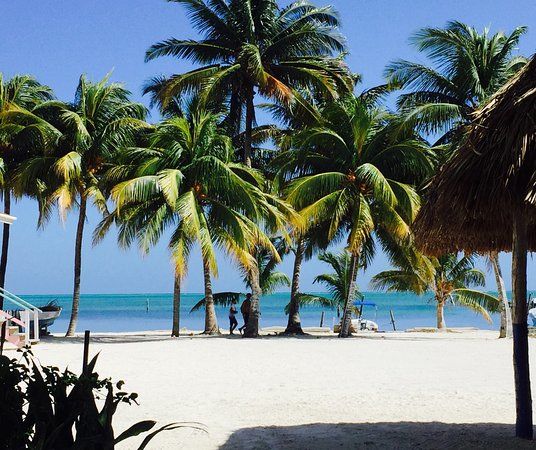 Caye Caulker Kum Voleybol Sahasi