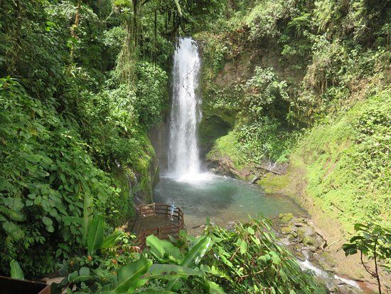 Jardines de la Catarata La Paz