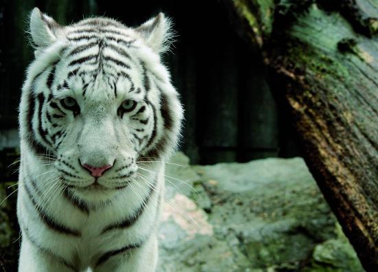 Liberec Zoological Garden