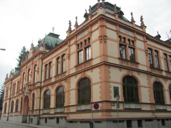 Dr Hostas Regional Museum