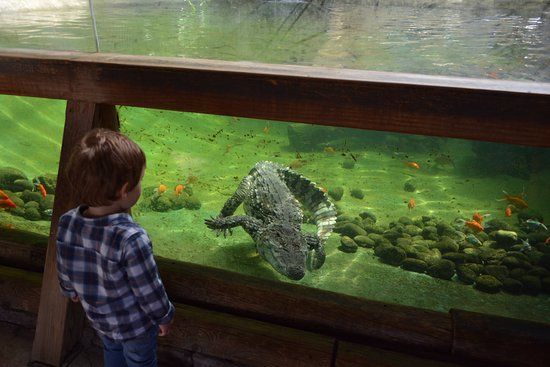 Parque Temático Terra Natura