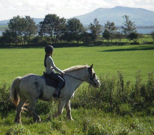 Anglesey Riding Centre