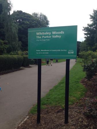 Bingham Park and Whiteley Woods