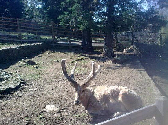 Zoológico de Vigo