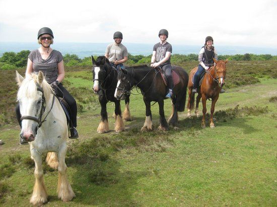 Quantock Trekking