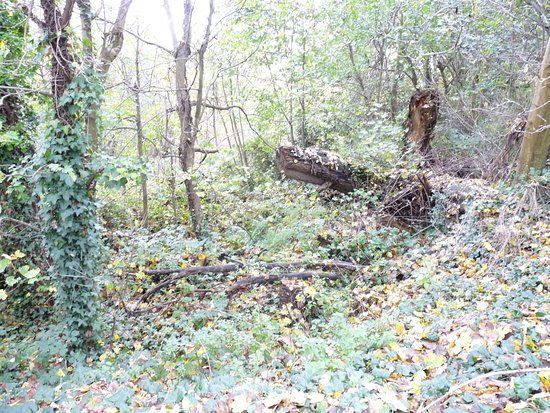 Millers Pond Nature Reserve