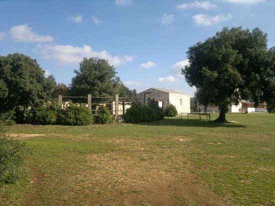 Azienda Corte dei Fragni