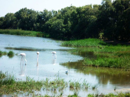 Ranch de la Brouzetière