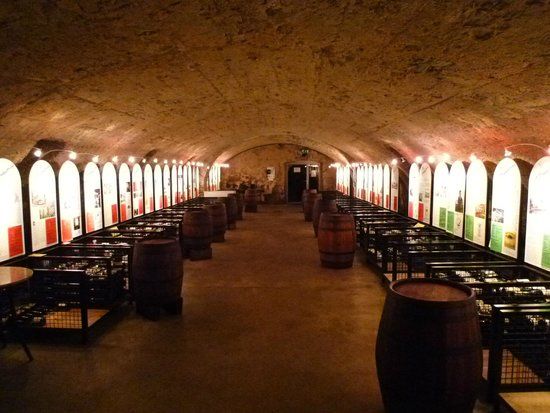 Moselvinothek & Moselweinmuseum