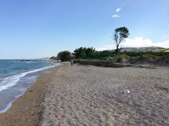 Riserva Naturalistica del Borsacchio