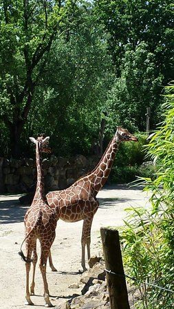 Osnabruck Zoo