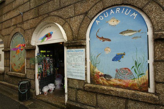 Fowey Aquarium