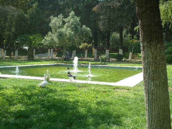 Great Antakya Park