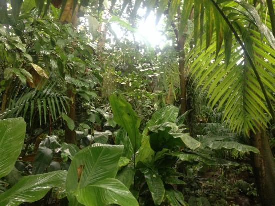 Ökologisch-Botanischer Garten der Universität Bayreuth