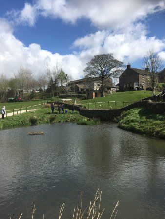 Blaze Farm
