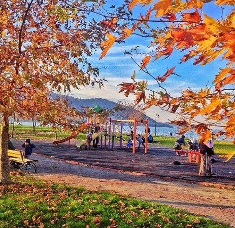 Ordu Paşaoğlu Konağı ve Etnografya Müzesi