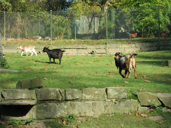 Tierpark Fauna Solingen-Gräfrath