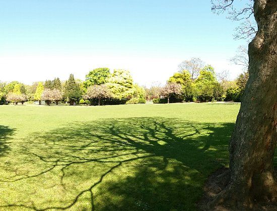 Ward Jackson Park