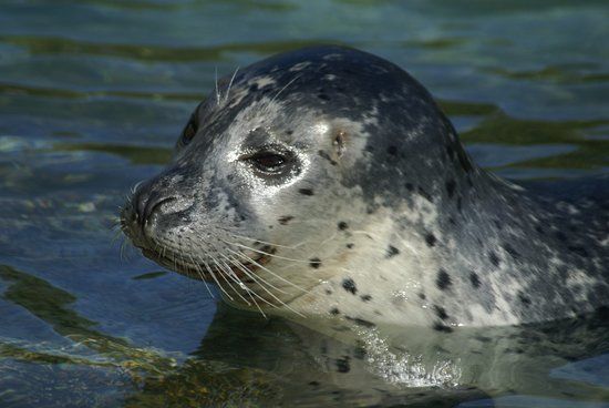 Fort-Mardyck Zoological Park