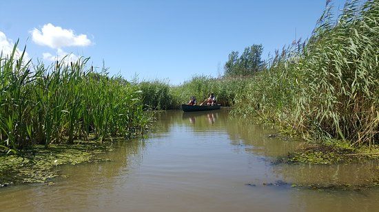 WWT Llanelli Wetland Centre