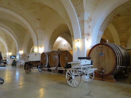 Museo della Civiltà del Vino Primitivo