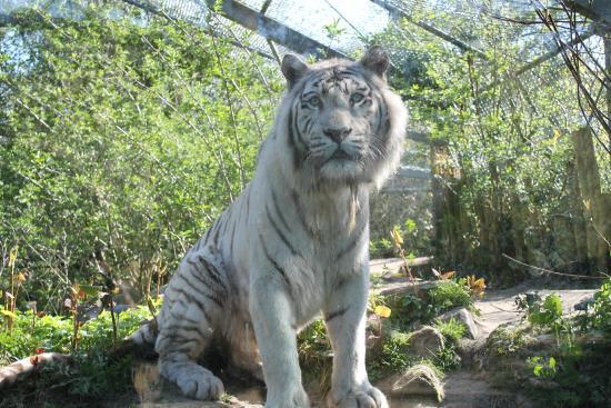 DierenPark Amersfoort