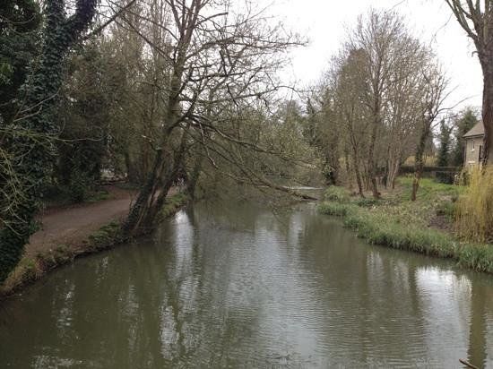 Abbey Meadows
