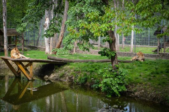 Nyíregyházi Állatpark