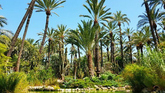 Huerto Del Cura Jardin Artistico Nacional