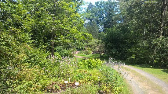 Forstbotanischer Garten Eberswalde