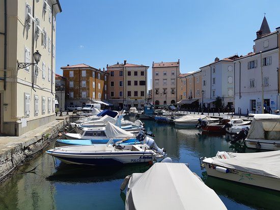 Muggia