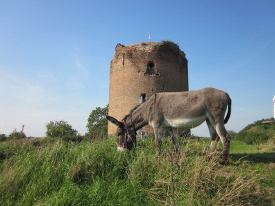 Burg Stolpe