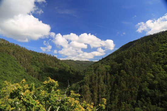 Parque Natural Fragas del Eume