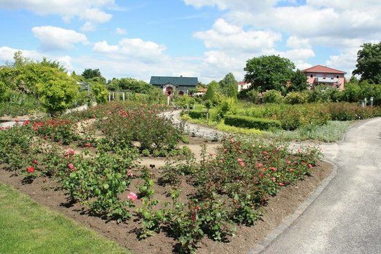 Rosengarten