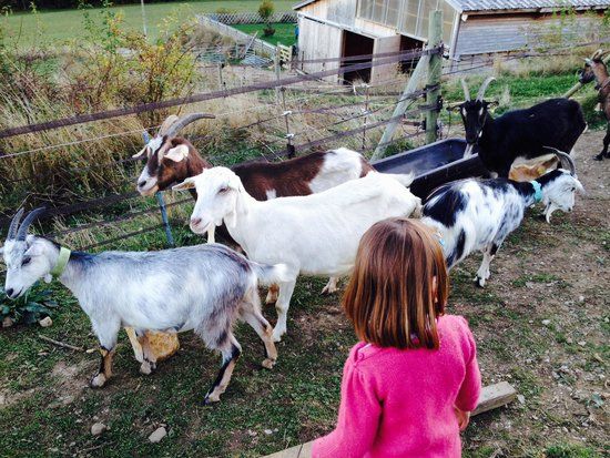 La Chèvrerie de Céüze