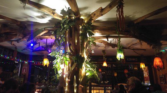 el Foro Cultural Kinoki