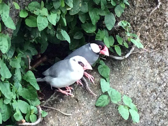 Discovery World Tropical Forest