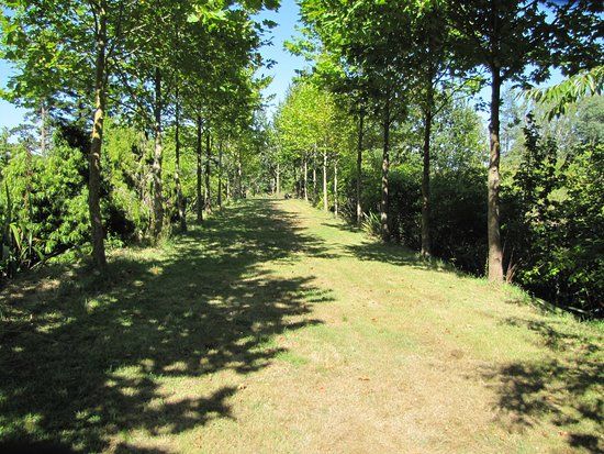 Waitakaruru Arboretum and Sculpture Park