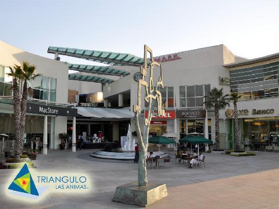 Triangulo Las Animas