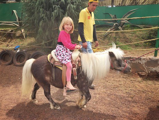 La Granja del Tio Pepe