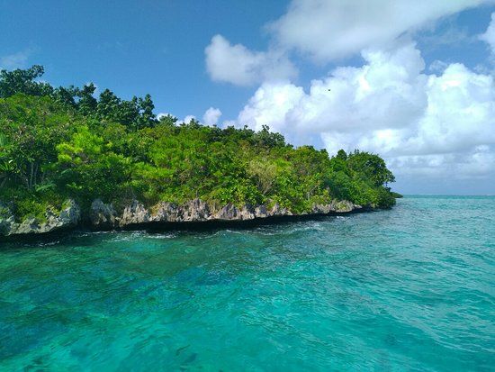 Ile aux Aigrettes Nature Reserve