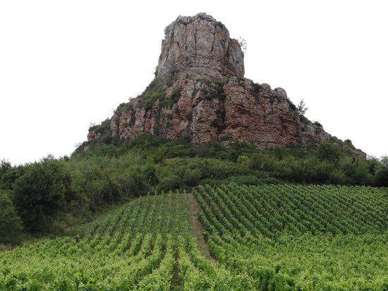 Musée départemental de Préhistoire de Solutré