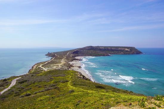Area Archeologica di Tharros
