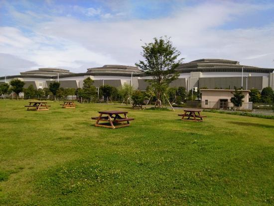 The Tokyo Rinkai Disaster Prevention Park